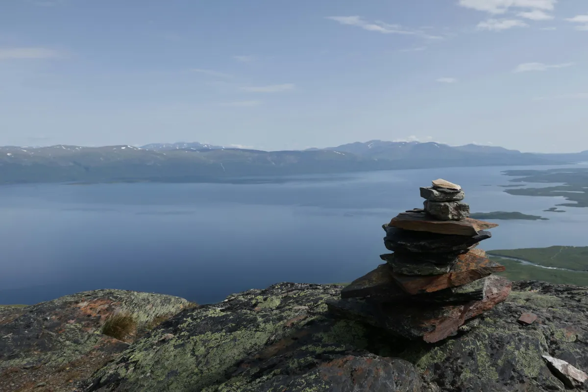 Coaching och utbildning – forskning